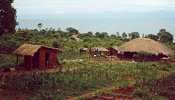 Malawi Malawi